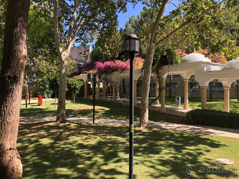 Настоящая пятерка, практически без минусов.