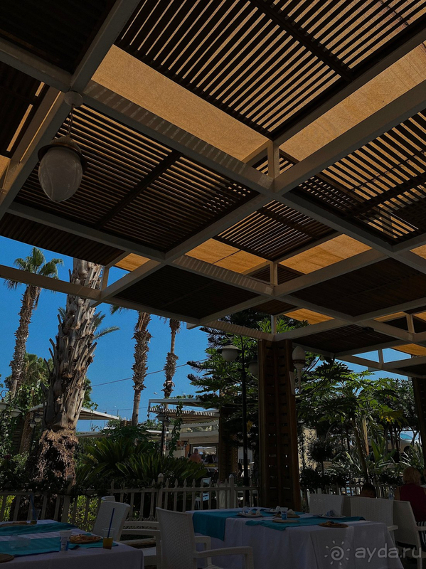 Что хочу сказать- я в восторге.