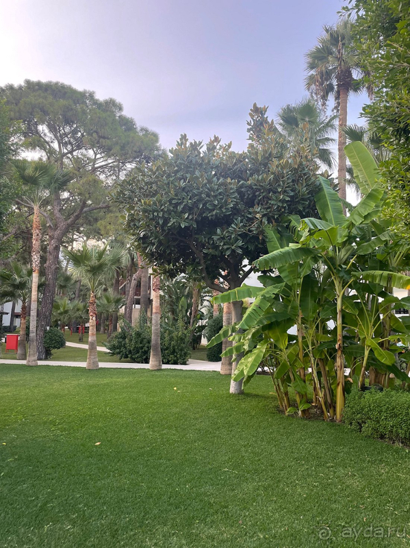 Замечательный отель! 