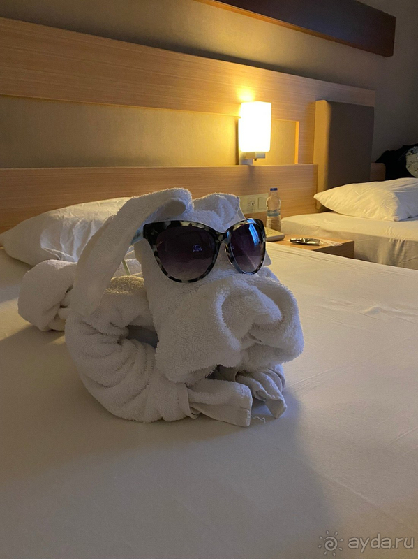 В целом можно поставить твёрдую 4-ку