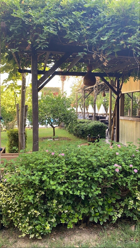 В целом можно поставить твёрдую 4-ку