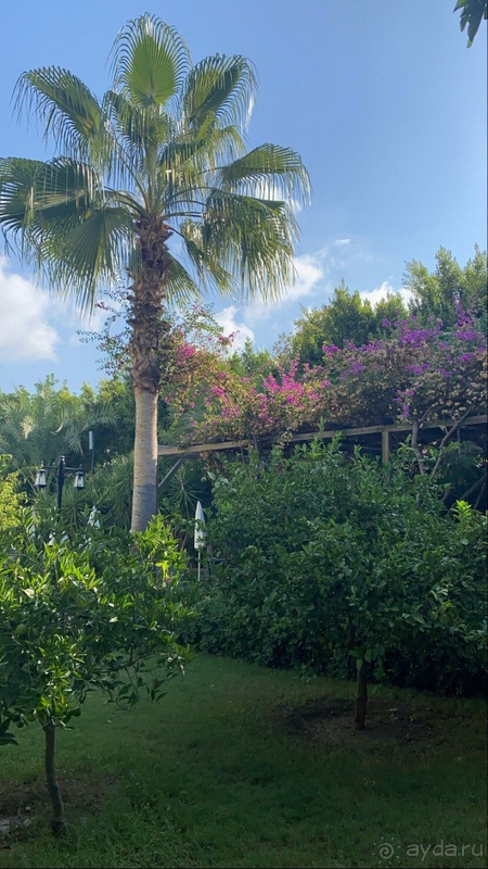 В целом можно поставить твёрдую 4-ку