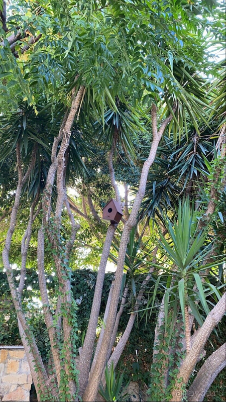 В целом можно поставить твёрдую 4-ку