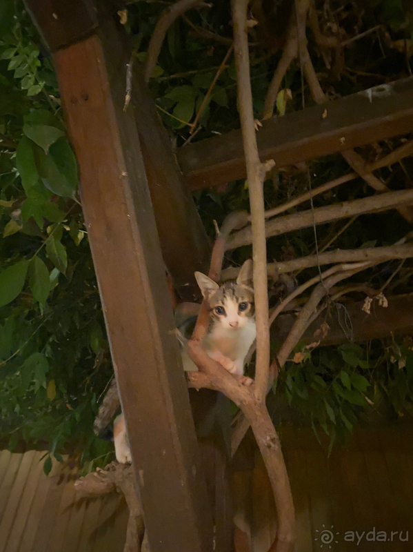 В целом можно поставить твёрдую 4-ку