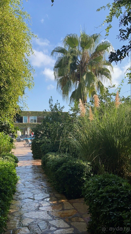 В целом можно поставить твёрдую 4-ку