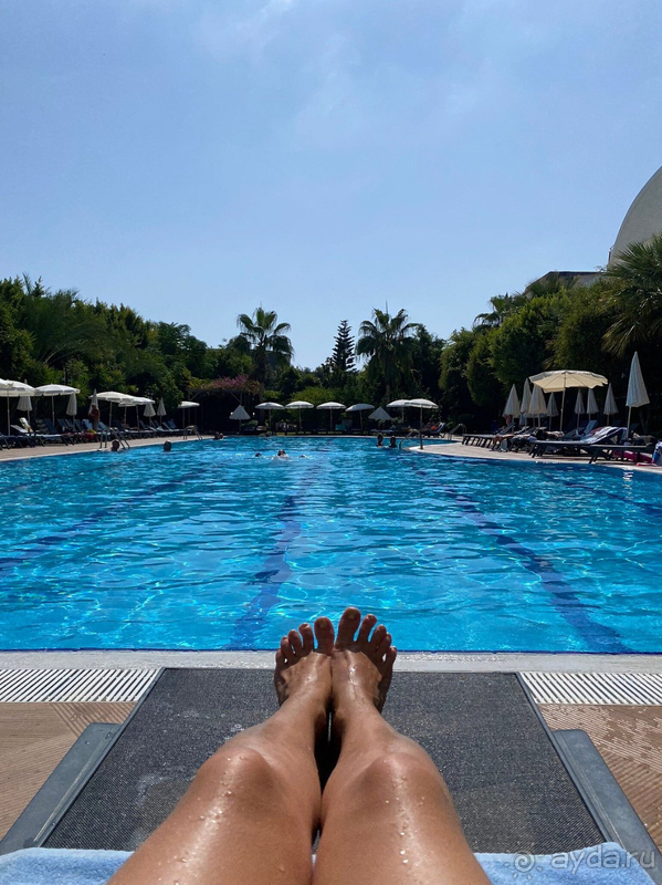 В целом можно поставить твёрдую 4-ку