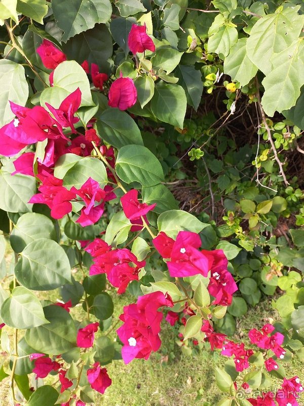 В целом очень понравилось, отлично отдохнули!