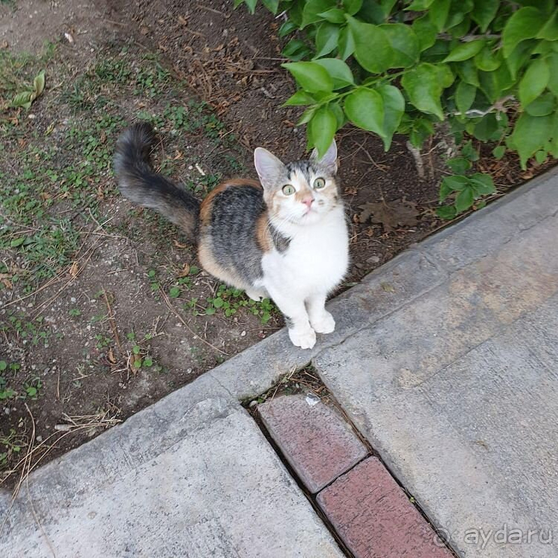  Я знаю точно где будет проходить мой следующий отдых!