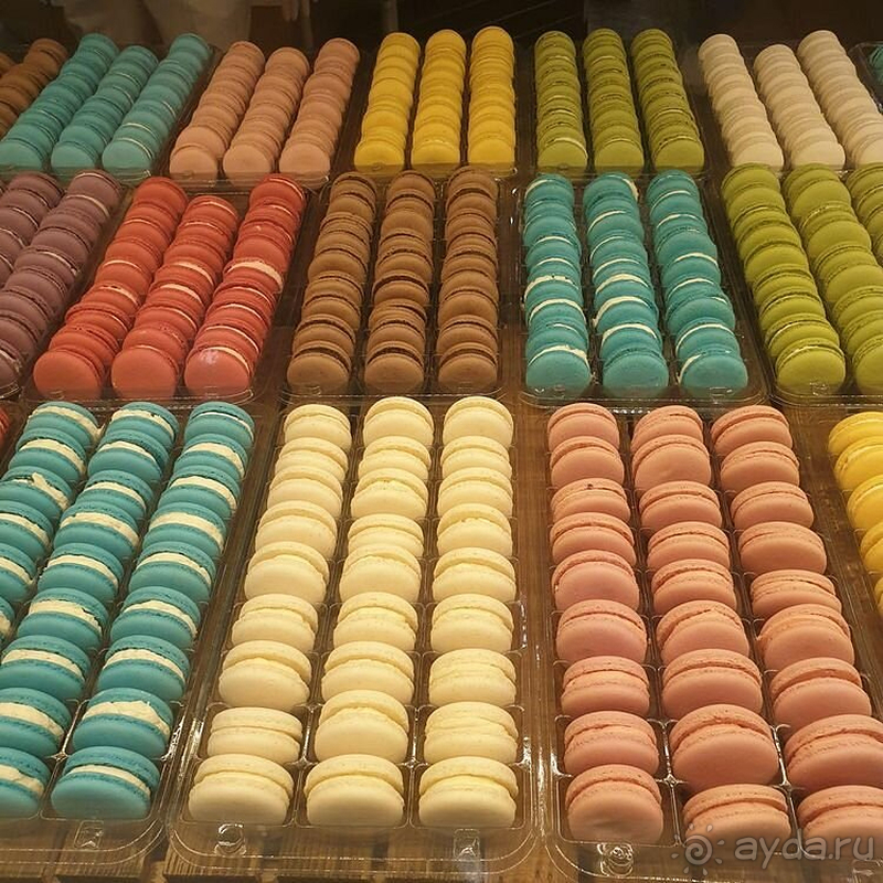  Я знаю точно где будет проходить мой следующий отдых!