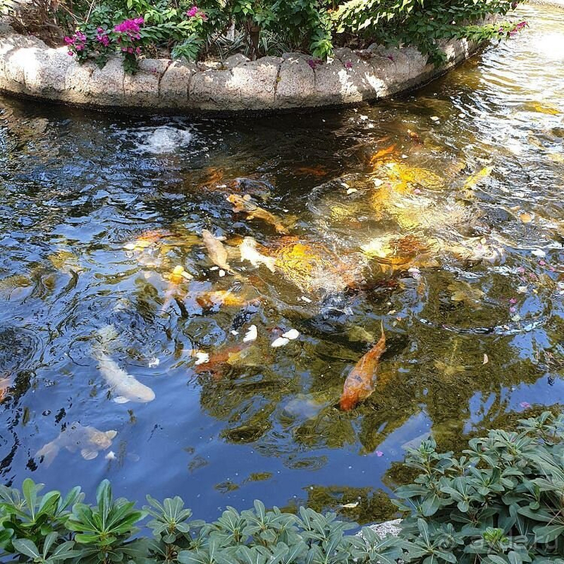  Я знаю точно где будет проходить мой следующий отдых!