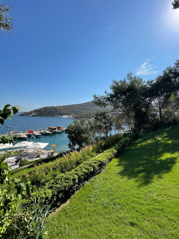 У нас остались только положительные эмоции от Duja Bodrum