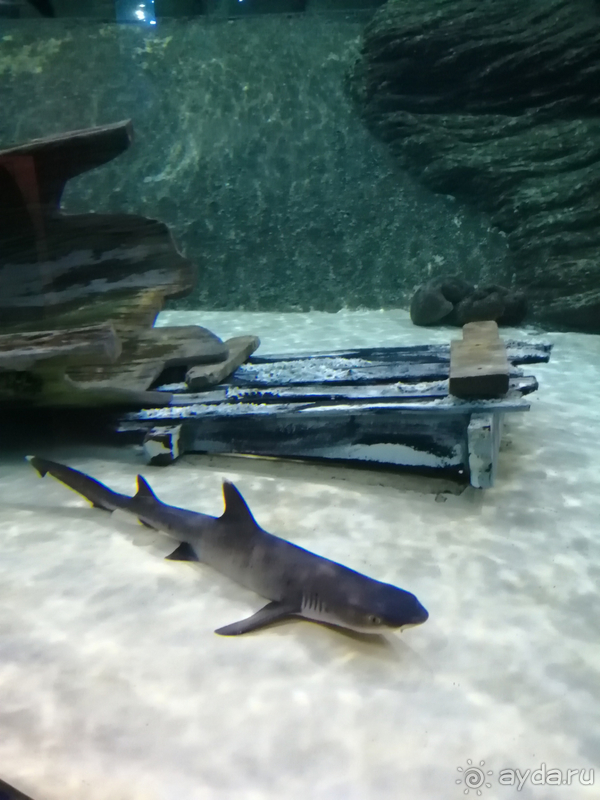 Успех вашего отдыха зависит только от вас ! Успех вашего отдыха зависит только от вас !