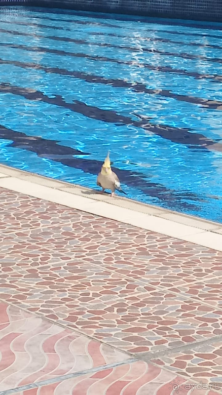 Успех вашего отдыха зависит только от вас ! Успех вашего отдыха зависит только от вас !