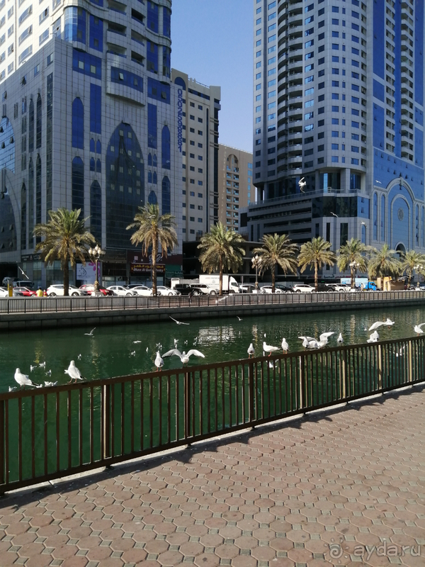 Успех вашего отдыха зависит только от вас ! Успех вашего отдыха зависит только от вас !