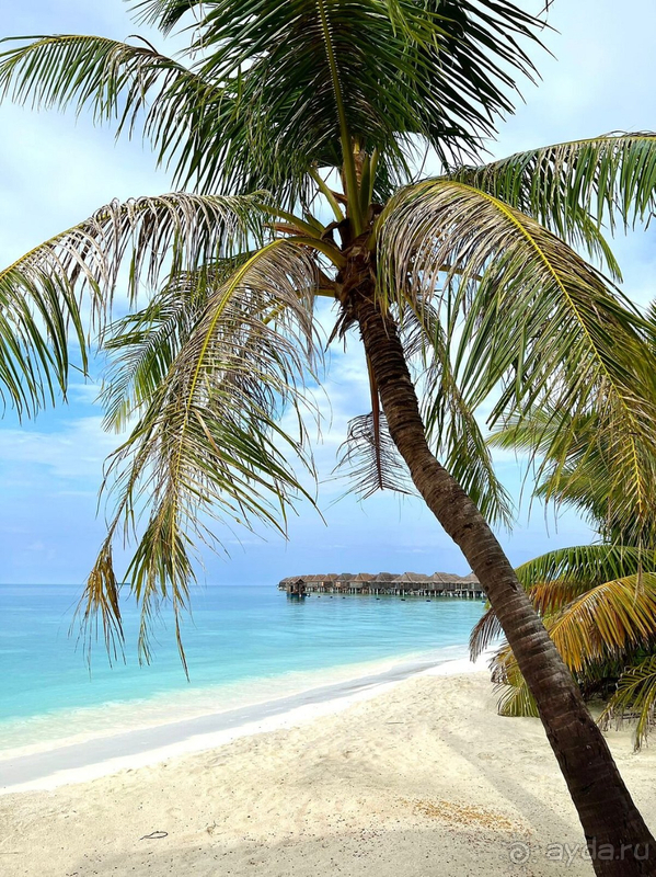 Неделя на Мальдивах