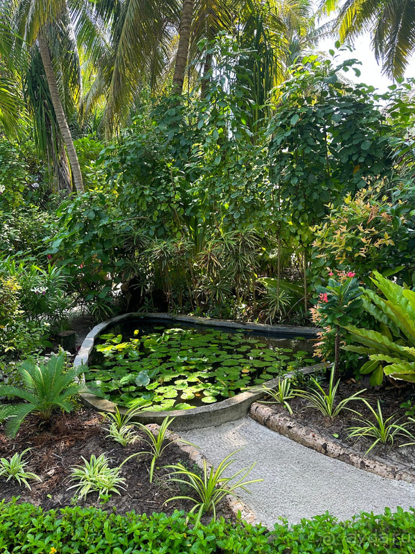 Неделя на Мальдивах