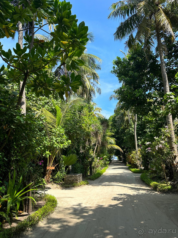 Неделя на Мальдивах