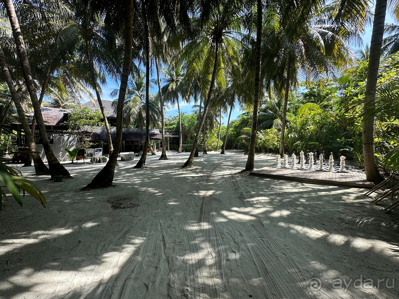 Неделя на Мальдивах