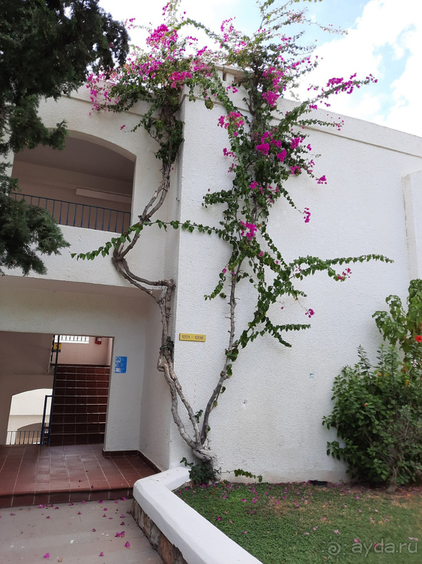 Райский уголок!