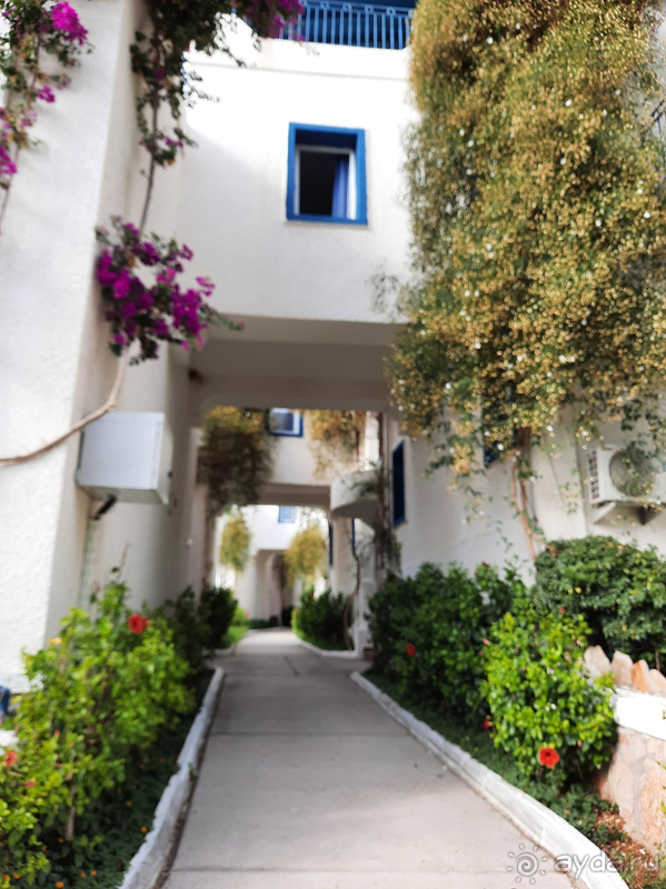 Райский уголок!