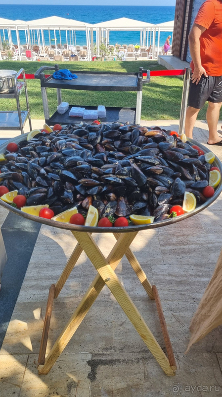 Хороший отель