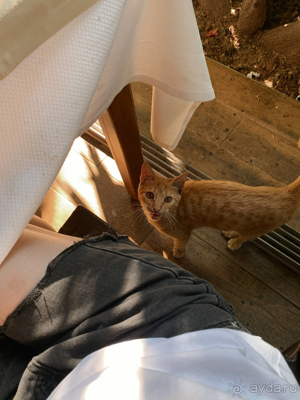 фото Asdem Park Hotel