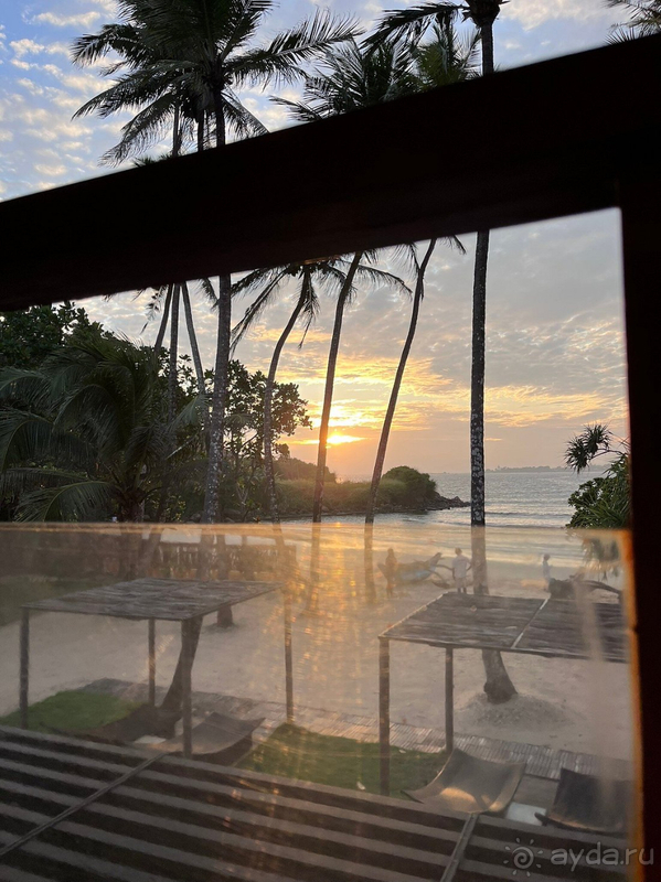 Отель CocoBay Unawatuna оправдал ожидание и даже их превзошел!