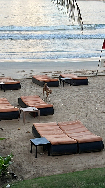 Отель CocoBay Unawatuna оправдал ожидание и даже их превзошел!