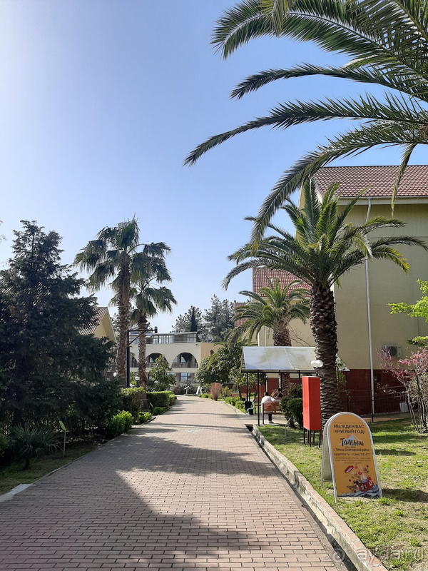 Бюджетный, но прекрасный отель