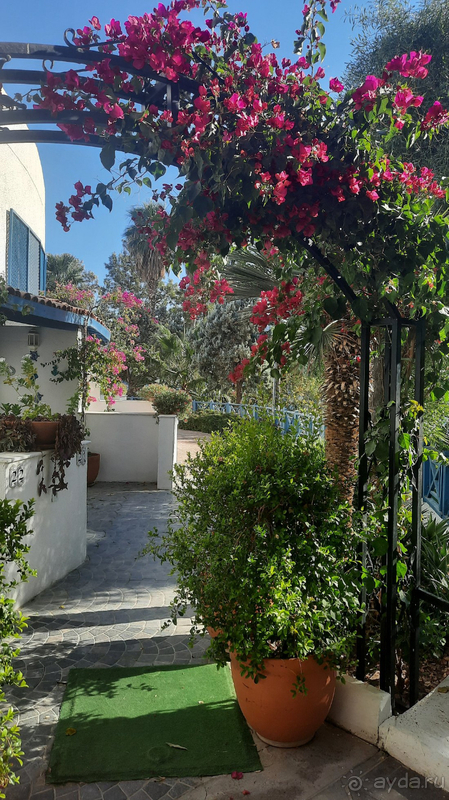 фото Bodrum Holiday Resort & Spa 5* 