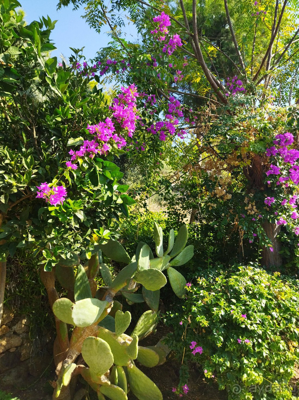 Сюда я точно приеду вновь!