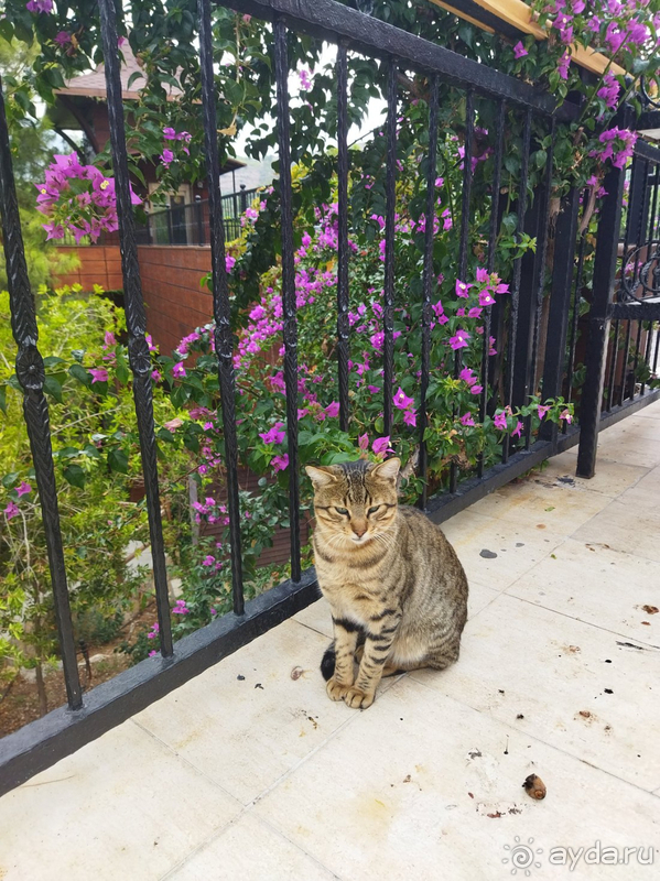 Сюда я точно приеду вновь!