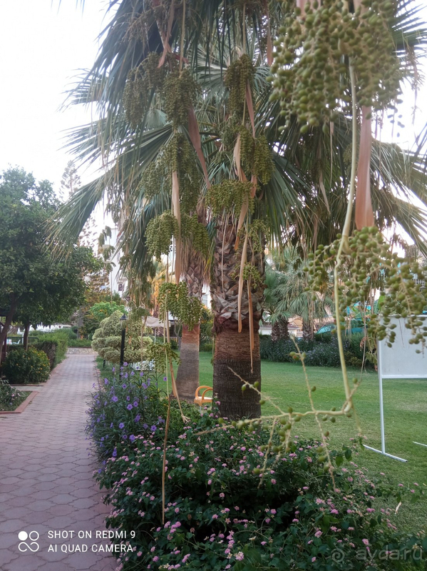 Отдых в сентябре в Турции