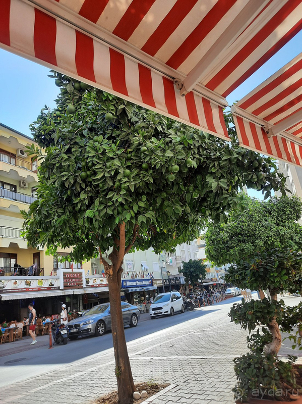 Прекрасный отдых в Турции