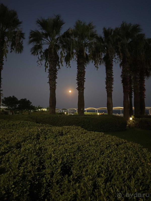 Спасибо за чудесный отдых