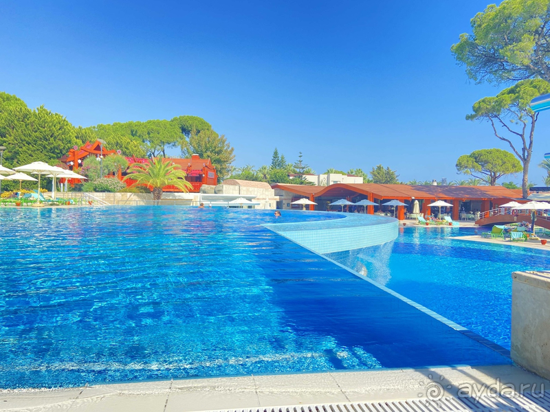 Спасибо за чудесный отдых