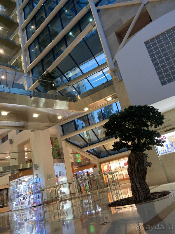 Спасибо за чудесный отдых