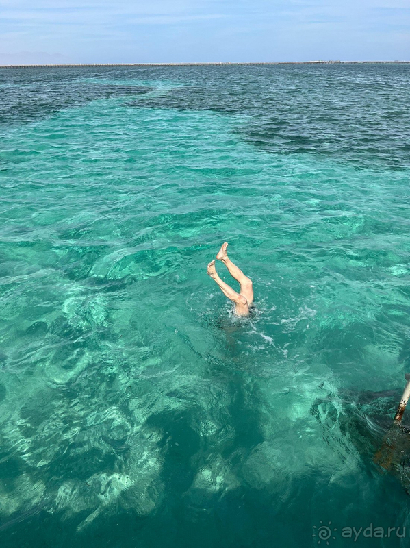 Отличный отпуск в Шарм-Эль-Шейх