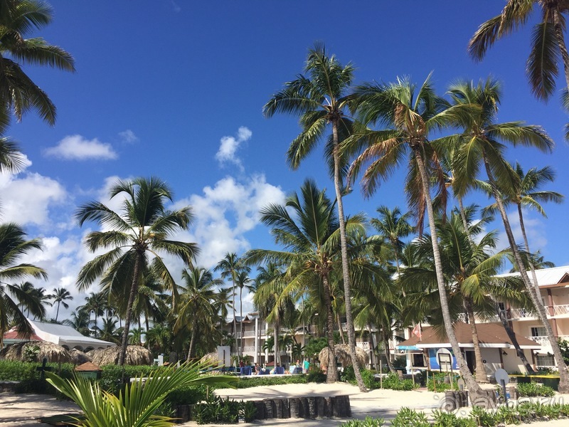 История о том, как здорово оказаться там, где Баунти