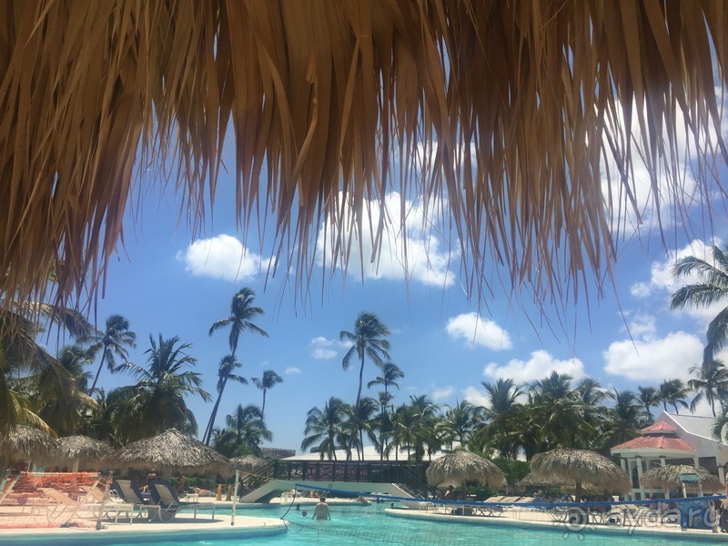 История о том, как здорово оказаться там, где Баунти