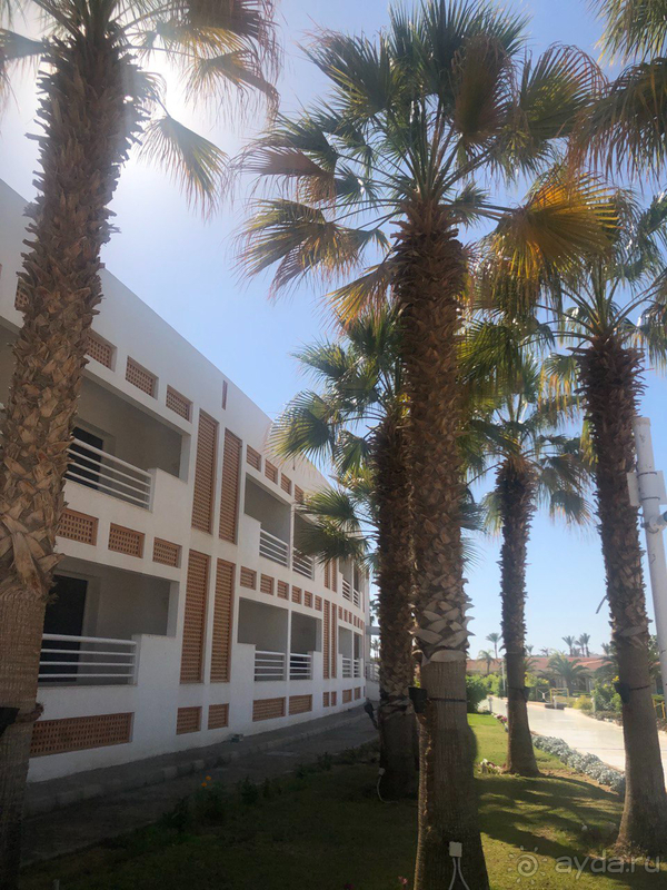 Хорошее соотношение цена/качество.