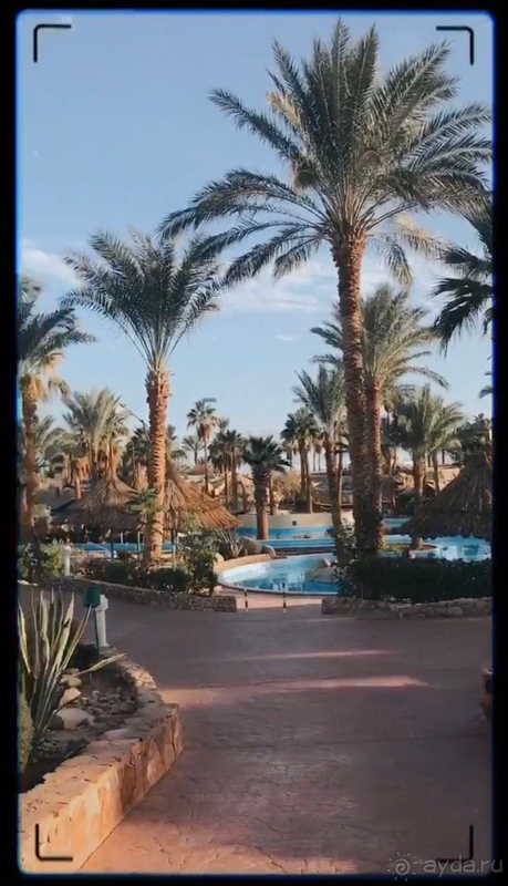 Хорошее соотношение цена/качество.