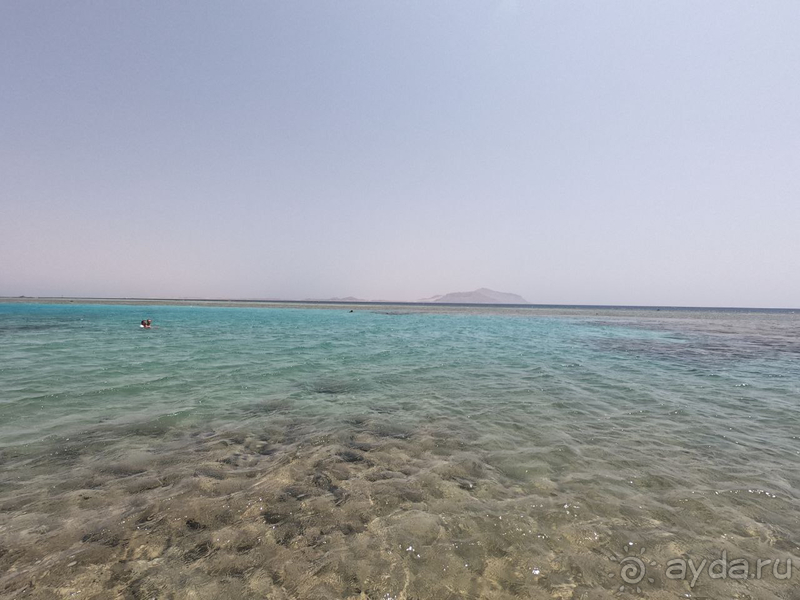 Шикарный отель с красивой территорией и питанием.