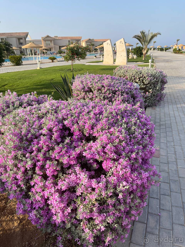 Прекрасный отель для семейного и романтического отдыха.