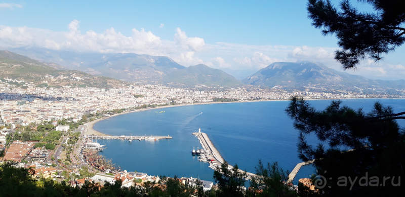 Mesut Hotel 3* Alanya. Очень хороший отель!