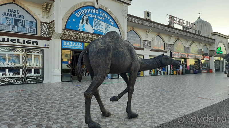 фото Side Win Hotel & Spa