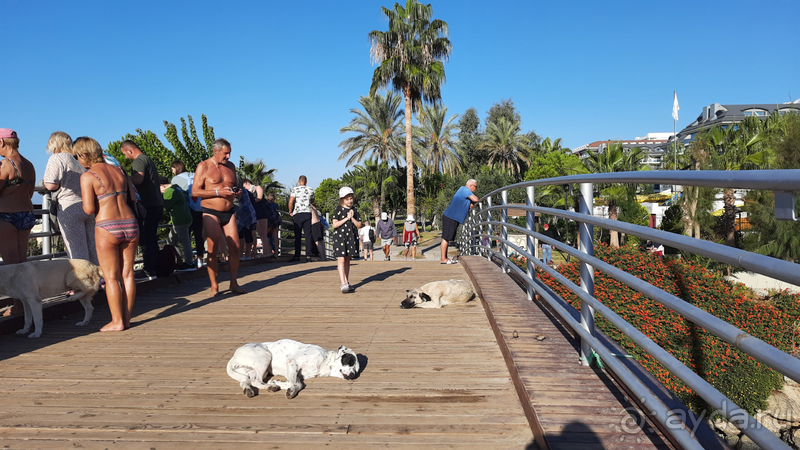 фото Side Win Hotel & Spa