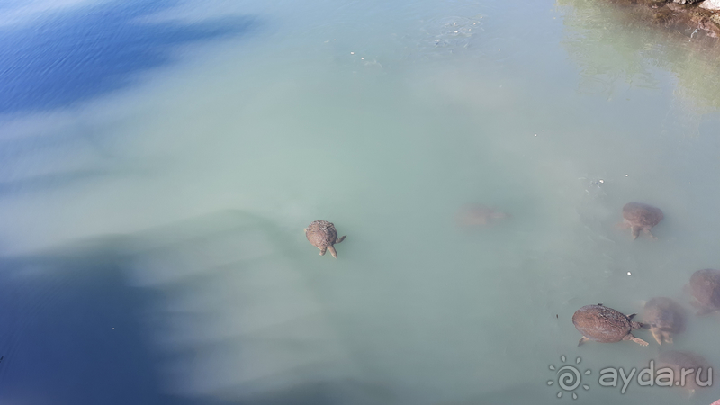 фото Side Win Hotel & Spa