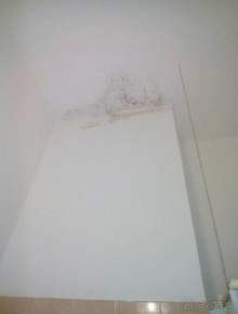 Отзыв о комплексе