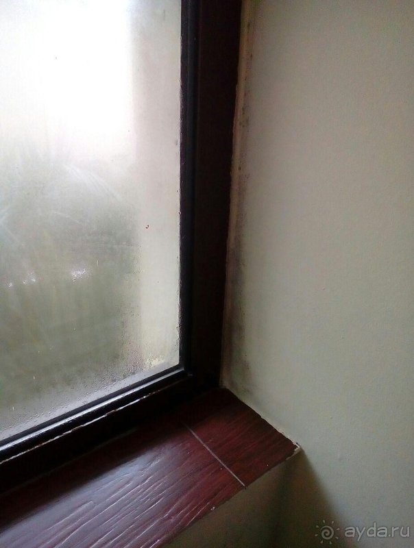 Отзыв о комплексе